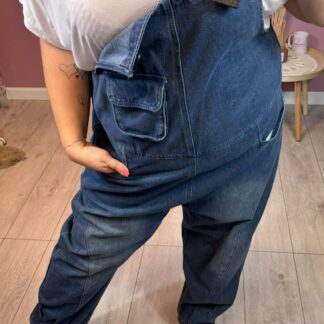 OGRODNICZKI ONECOLOR